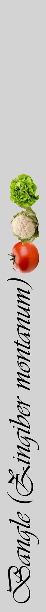 Étiquette de : Zingiber montanum - format a - style noire56viv avec comestibilité simplifiée