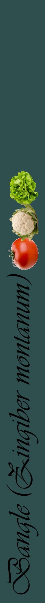 Étiquette de : Zingiber montanum - format a - style noire58viv avec comestibilité simplifiée