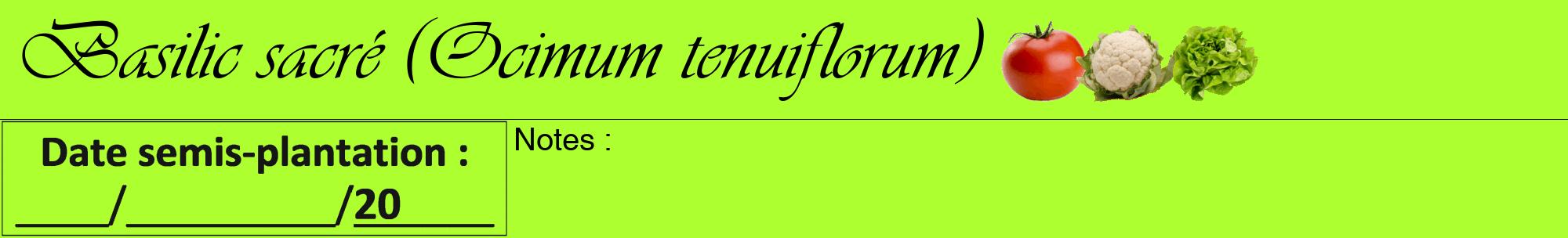 Étiquette de : Ocimum tenuiflorum - format a - style noire17viv avec comestibilité simplifiée