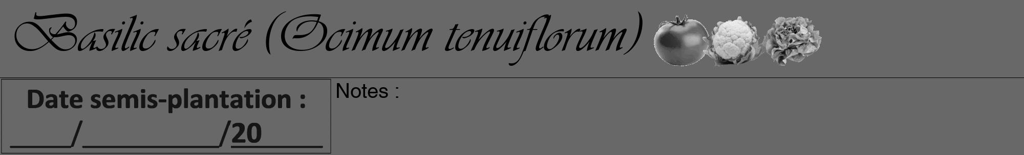 Étiquette de : Ocimum tenuiflorum - format a - style noire43basiqueviv avec comestibilité simplifiée