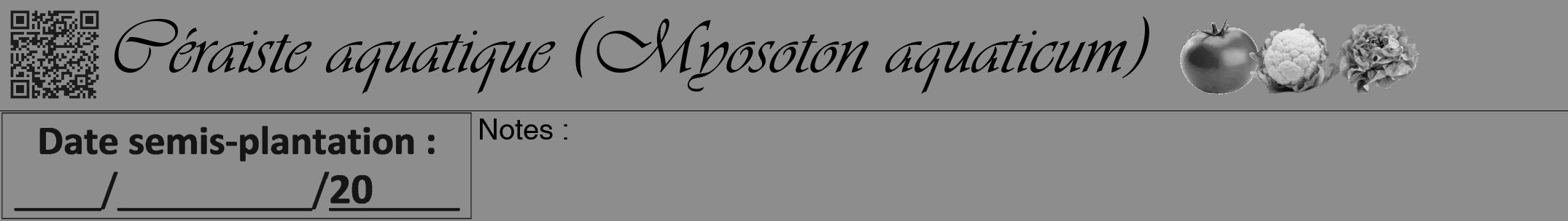 Étiquette de : Myosoton aquaticum - format a - style noire2viv avec qrcode et comestibilité simplifiée