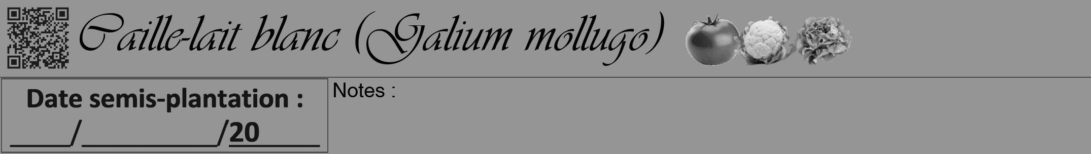 Étiquette de : Galium mollugo - format a - style noire16viv avec qrcode et comestibilité simplifiée