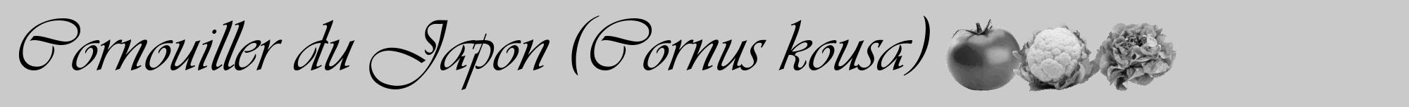 Étiquette de : Cornus kousa - format a - style noire21viv avec comestibilité simplifiée