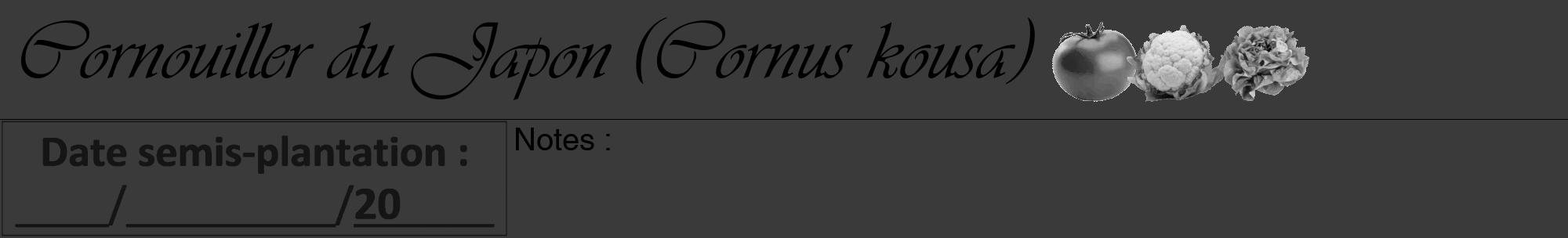 Étiquette de : Cornus kousa - format a - style noire8viv avec comestibilité simplifiée