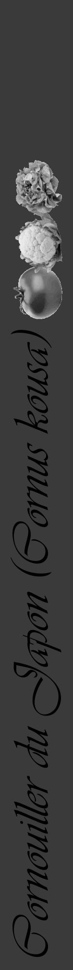 Étiquette de : Cornus kousa - format a - style noire8viv avec comestibilité simplifiée - position verticale