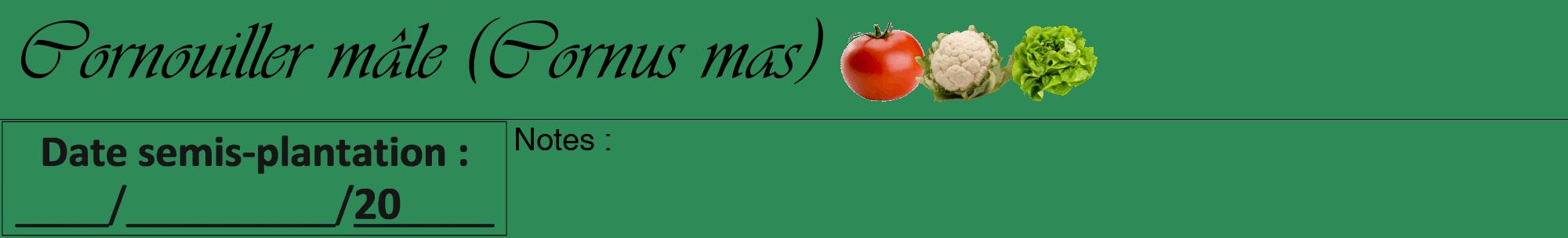Étiquette de : Cornus mas - format a - style noire11viv avec comestibilité simplifiée