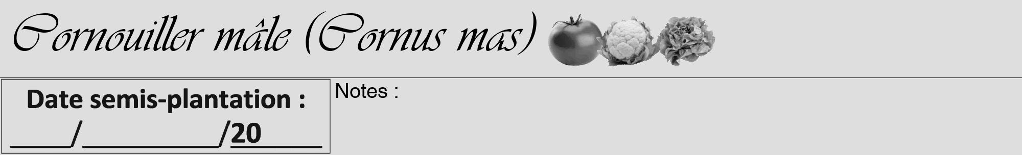 Étiquette de : Cornus mas - format a - style noire20viv avec comestibilité simplifiée