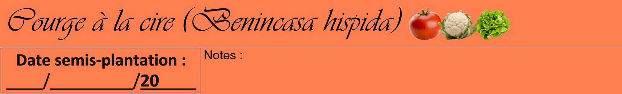 Étiquette de : Benincasa hispida - format a - style noire24viv avec comestibilité simplifiée