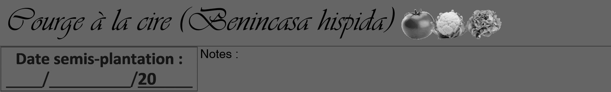 Étiquette de : Benincasa hispida - format a - style noire32basiqueviv avec comestibilité simplifiée
