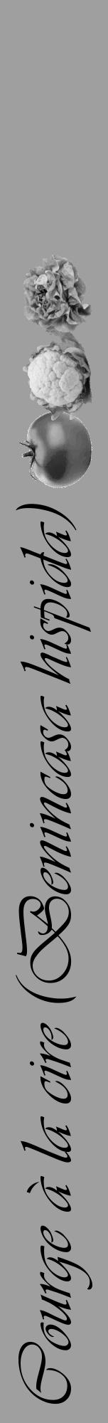 Étiquette de : Benincasa hispida - format a - style noire24viv avec comestibilité simplifiée - position verticale