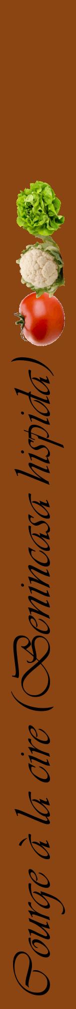 Étiquette de : Benincasa hispida - format a - style noire30viv avec comestibilité simplifiée