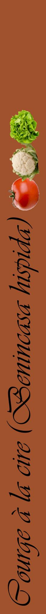 Étiquette de : Benincasa hispida - format a - style noire32viv avec comestibilité simplifiée