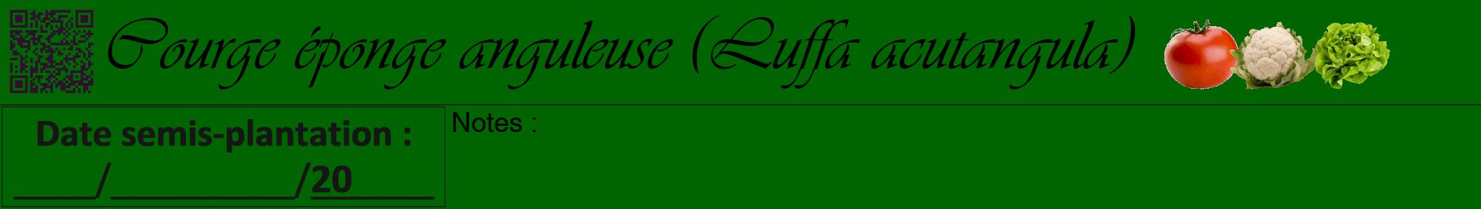 Étiquette de : Luffa acutangula - format a - style noire8viv avec qrcode et comestibilité simplifiée