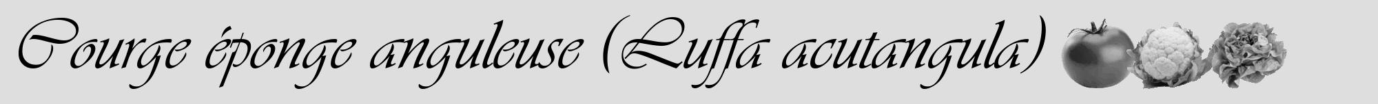 Étiquette de : Luffa acutangula - format a - style noire20viv avec comestibilité simplifiée