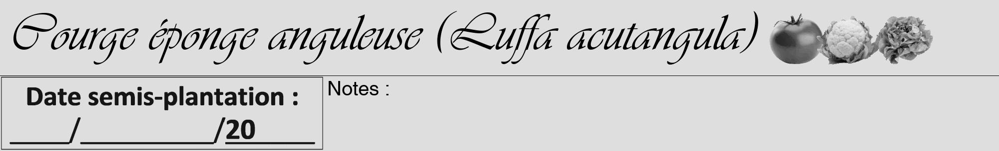 Étiquette de : Luffa acutangula - format a - style noire20viv avec comestibilité simplifiée