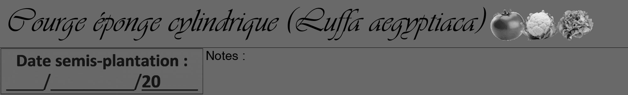 Étiquette de : Luffa aegyptiaca - format a - style noire11viv avec comestibilité simplifiée