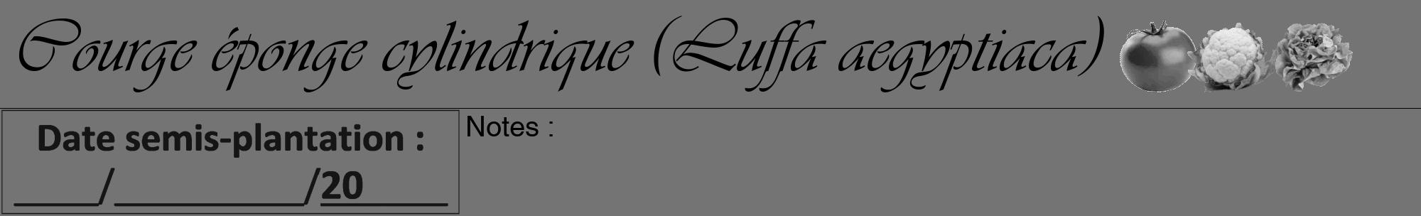 Étiquette de : Luffa aegyptiaca - format a - style noire26viv avec comestibilité simplifiée