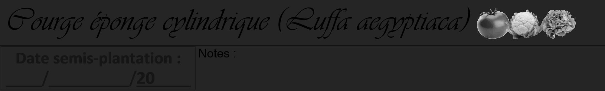 Étiquette de : Luffa aegyptiaca - format a - style noire47viv avec comestibilité simplifiée