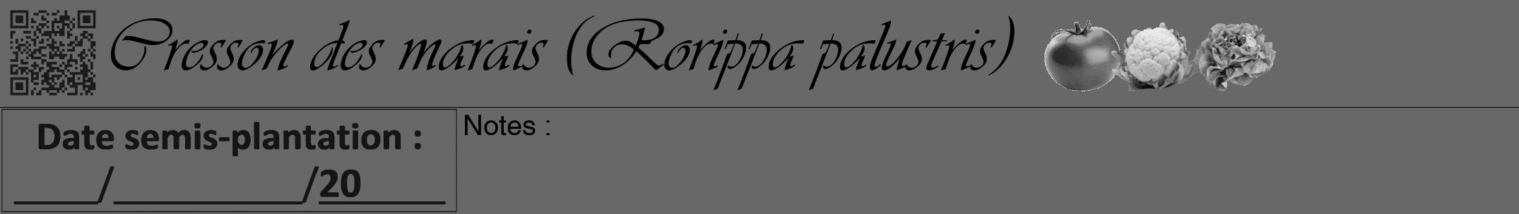 Étiquette de : Rorippa palustris - format a - style noire6viv avec qrcode et comestibilité simplifiée