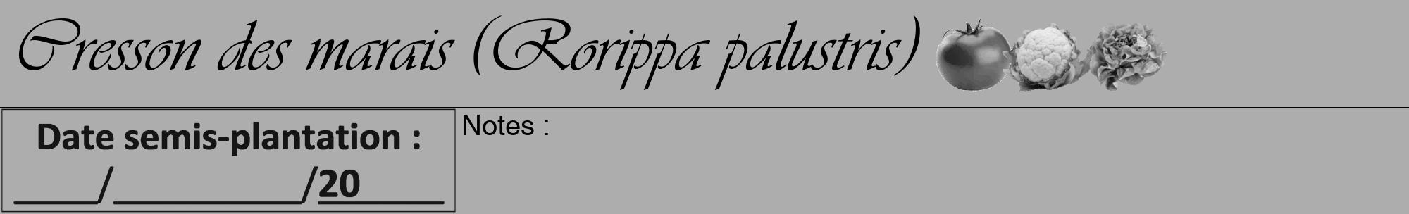 Étiquette de : Rorippa palustris - format a - style noire22viv avec comestibilité simplifiée