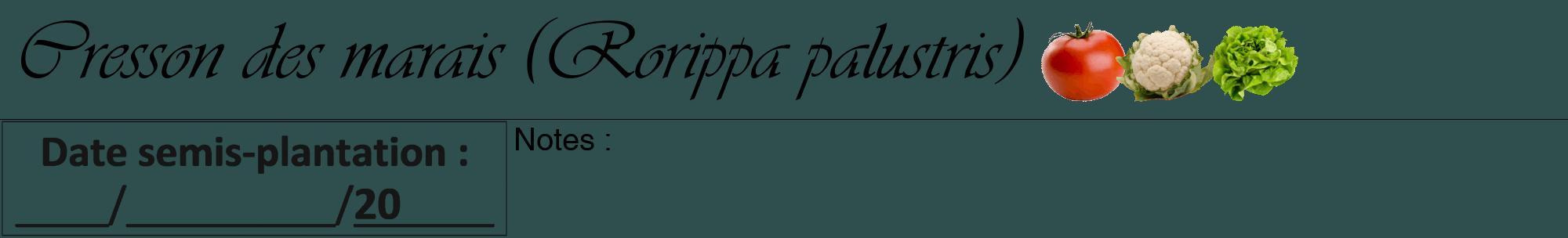 Étiquette de : Rorippa palustris - format a - style noire58viv avec comestibilité simplifiée