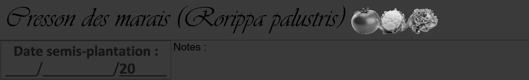 Étiquette de : Rorippa palustris - format a - style noire8viv avec comestibilité simplifiée
