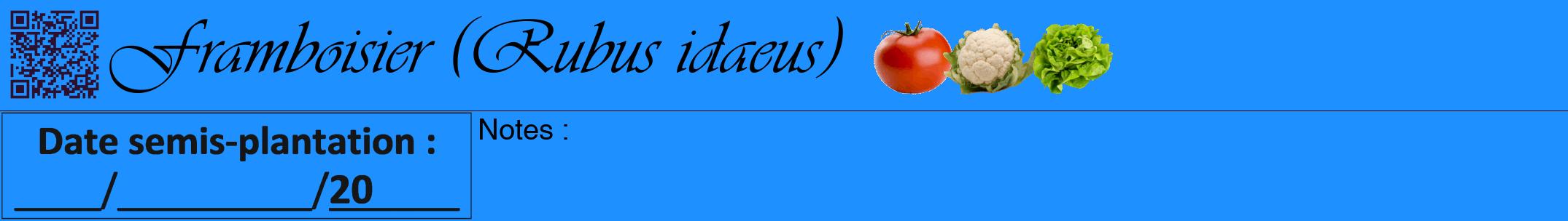 Étiquette de : Rubus idaeus - format a - style noire3viv avec qrcode et comestibilité simplifiée