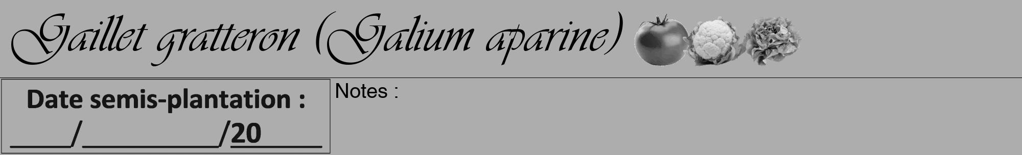 Étiquette de : Galium aparine - format a - style noire22viv avec comestibilité simplifiée