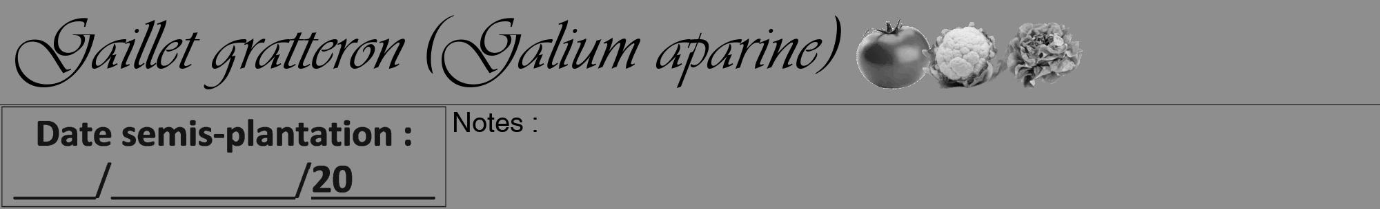 Étiquette de : Galium aparine - format a - style noire25viv avec comestibilité simplifiée