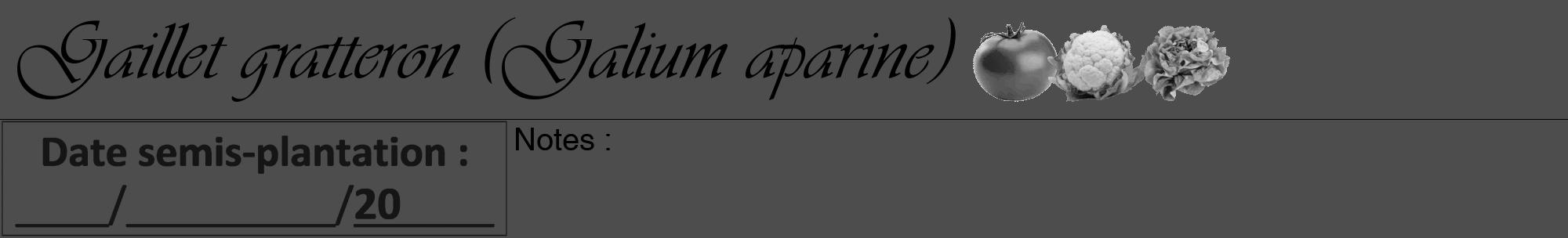 Étiquette de : Galium aparine - format a - style noire28viv avec comestibilité simplifiée