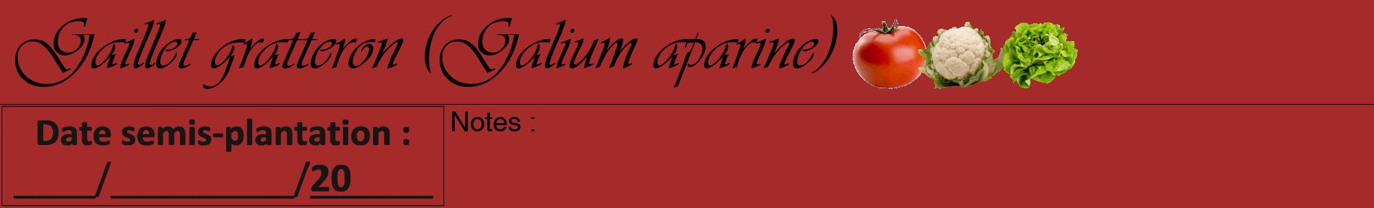 Étiquette de : Galium aparine - format a - style noire33viv avec comestibilité simplifiée