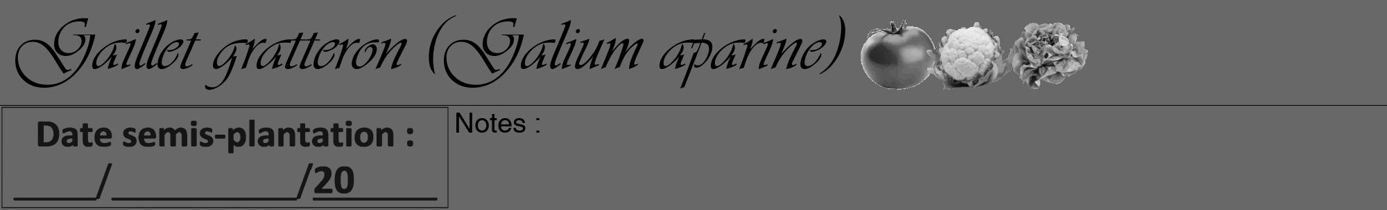 Étiquette de : Galium aparine - format a - style noire43viv avec comestibilité simplifiée