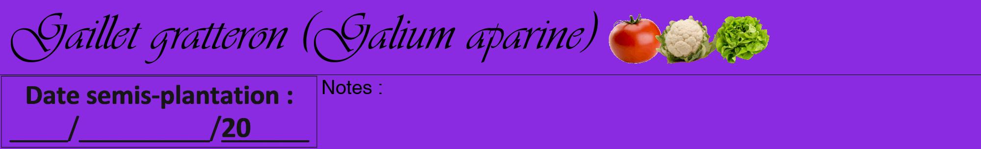 Étiquette de : Galium aparine - format a - style noire49viv avec comestibilité simplifiée