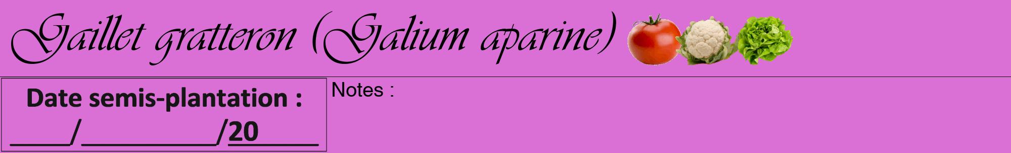 Étiquette de : Galium aparine - format a - style noire52viv avec comestibilité simplifiée