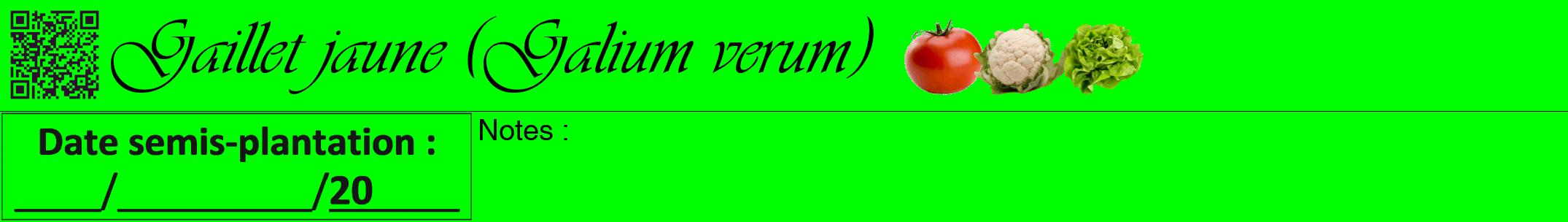 Étiquette de : Galium verum - format a - style noire16viv avec qrcode et comestibilité simplifiée
