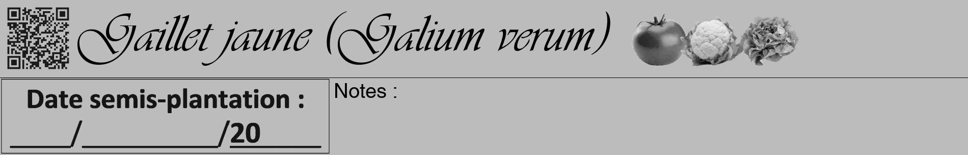 Étiquette de : Galium verum - format a - style noire1basiqueviv avec qrcode et comestibilité simplifiée