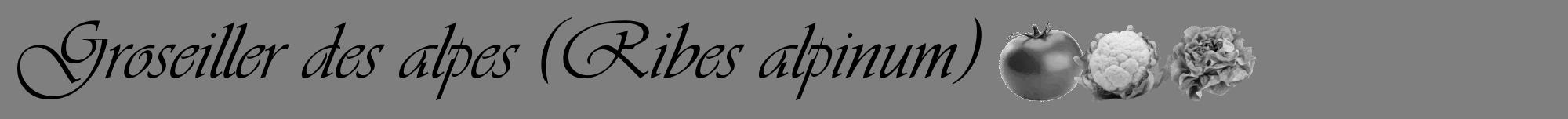 Étiquette de : Ribes alpinum - format a - style noire57viv avec comestibilité simplifiée