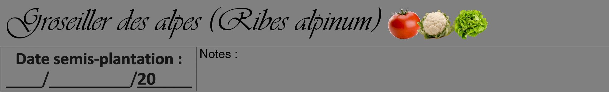 Étiquette de : Ribes alpinum - format a - style noire57viv avec comestibilité simplifiée
