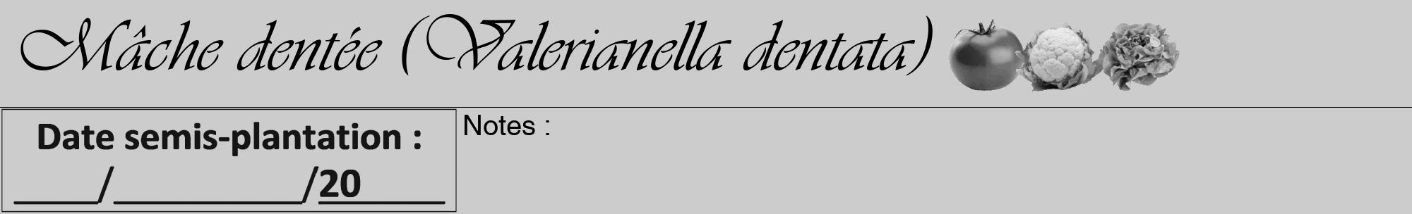 Étiquette de : Valerianella dentata - format a - style noire0viv avec comestibilité simplifiée