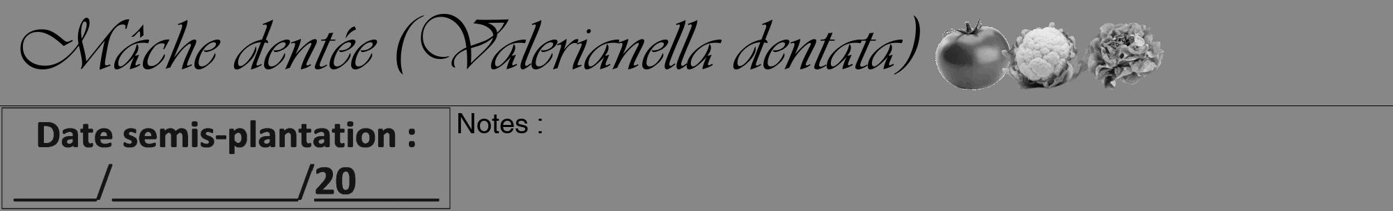 Étiquette de : Valerianella dentata - format a - style noire12viv avec comestibilité simplifiée