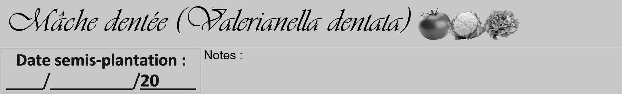 Étiquette de : Valerianella dentata - format a - style noire15viv avec comestibilité simplifiée