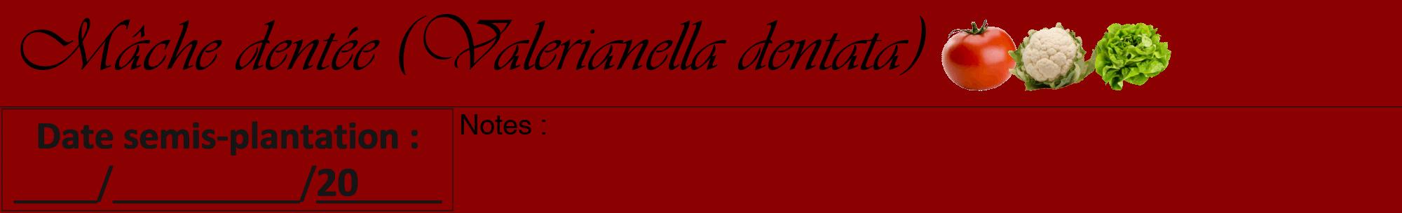 Étiquette de : Valerianella dentata - format a - style noire34basiqueviv avec comestibilité simplifiée