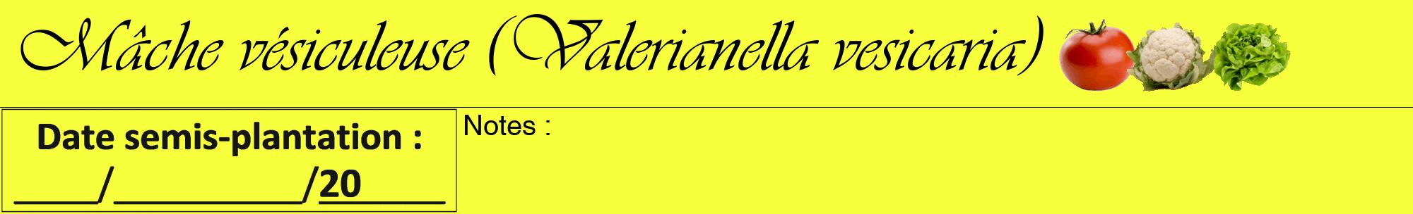 Étiquette de : Valerianella vesicaria - format a - style noire18viv avec comestibilité simplifiée