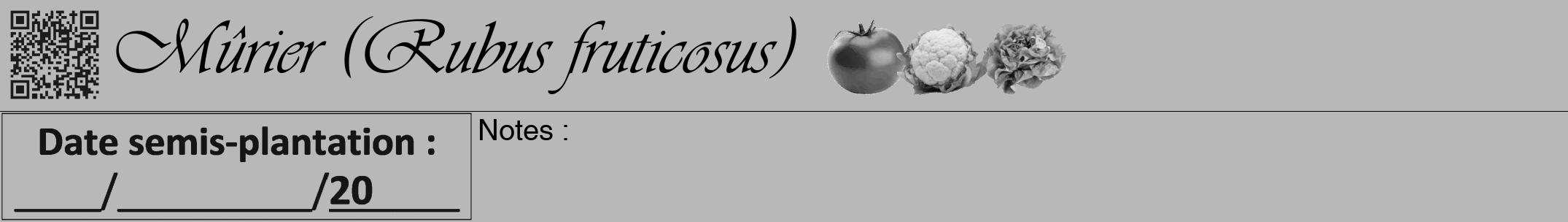 Étiquette de : Rubus fruticosus - format a - style noire39viv avec qrcode et comestibilité simplifiée