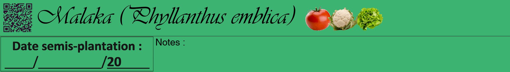 Étiquette de : Phyllanthus emblica - format a - style noire12simpleviv avec qrcode et comestibilité simplifiée