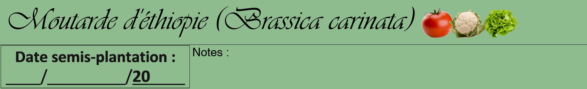 Étiquette de : Brassica carinata - format a - style noire13viv avec comestibilité simplifiée