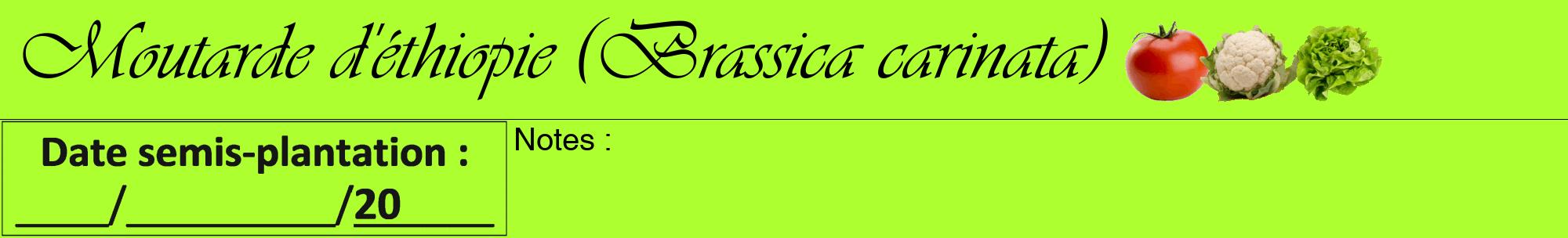 Étiquette de : Brassica carinata - format a - style noire17viv avec comestibilité simplifiée