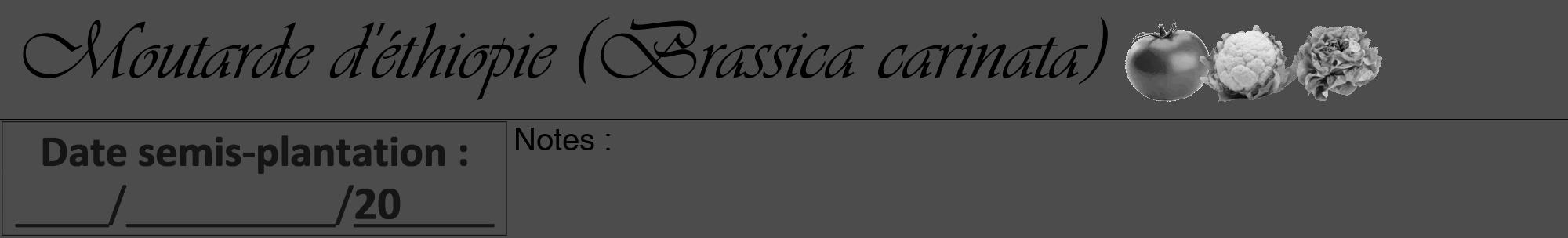 Étiquette de : Brassica carinata - format a - style noire27viv avec comestibilité simplifiée