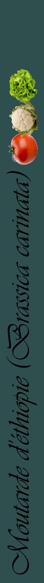 Étiquette de : Brassica carinata - format a - style noire58viv avec comestibilité simplifiée