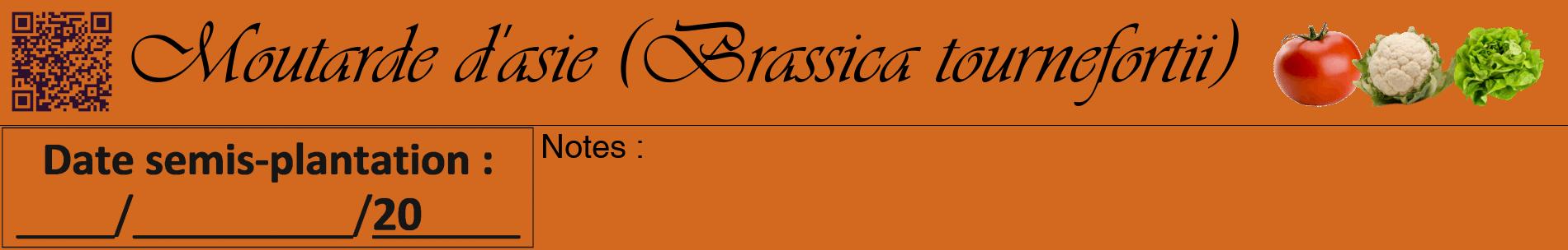Étiquette de : Brassica tournefortii - format a - style noire31basiqueviv avec qrcode et comestibilité simplifiée